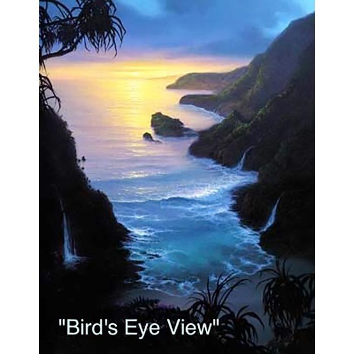 Birds Eye View