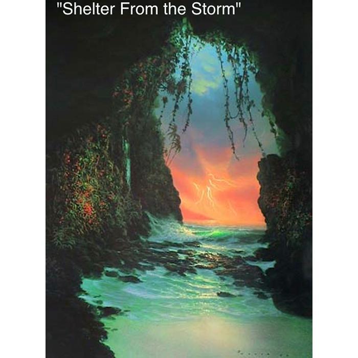 Shelter from the Storm