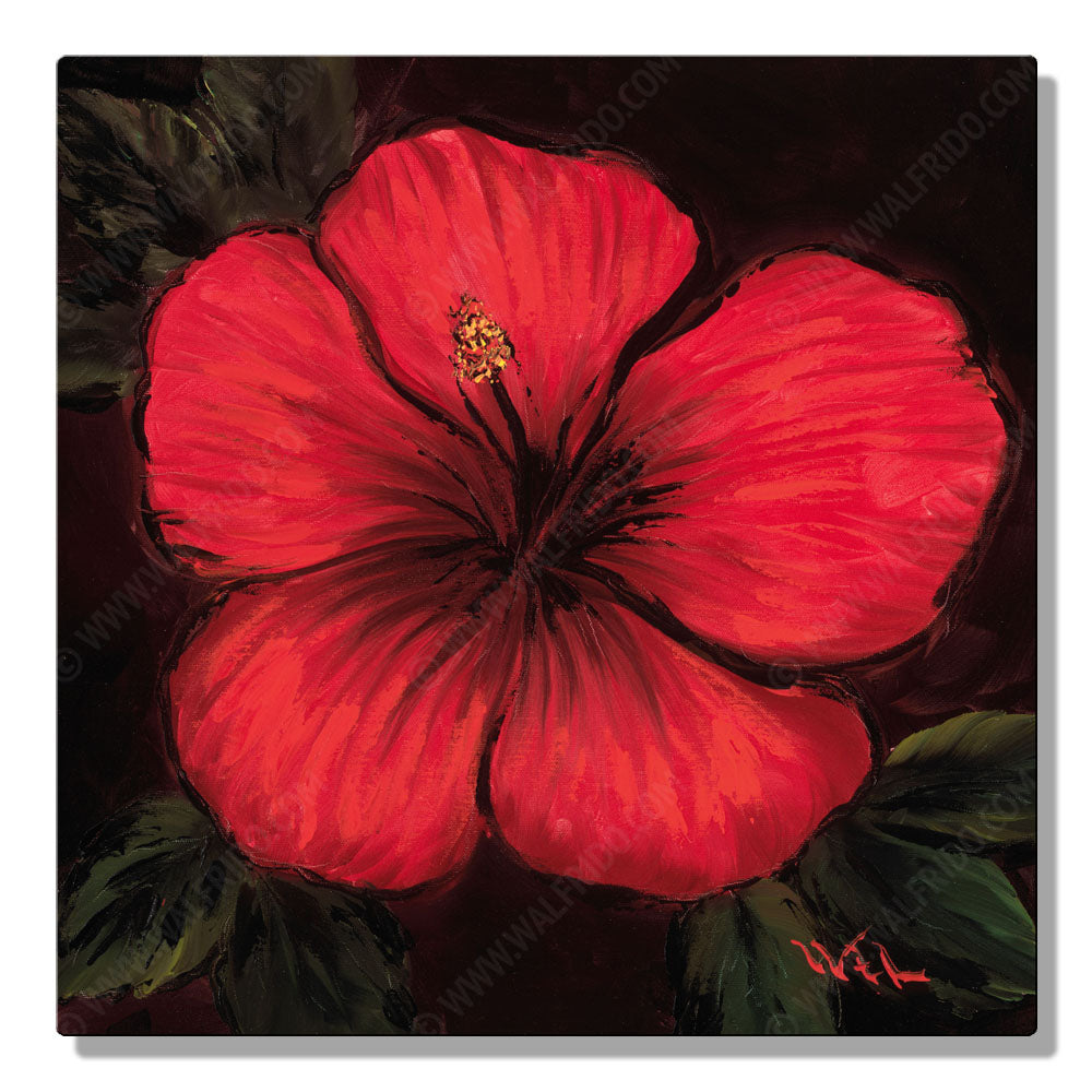Red and Chocolate Hibiscus, Open Edition Metal Print by Tropical Hawaii Artist Walfrido